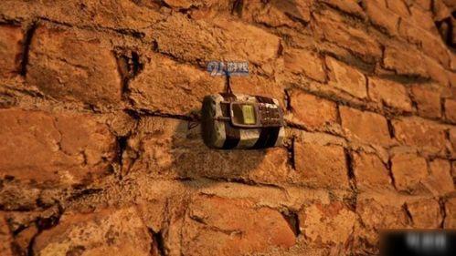 和平精英最新爆料卡拉金,神秘卡拉金岛等你探险 第2张 和平精英最新爆料卡拉金,神秘卡拉金岛等你探险 第2张