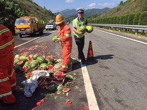 高速免费吃瓜群众,吃瓜群众狂欢时刻 第2张 高速免费吃瓜群众,吃瓜群众狂欢时刻 第2张